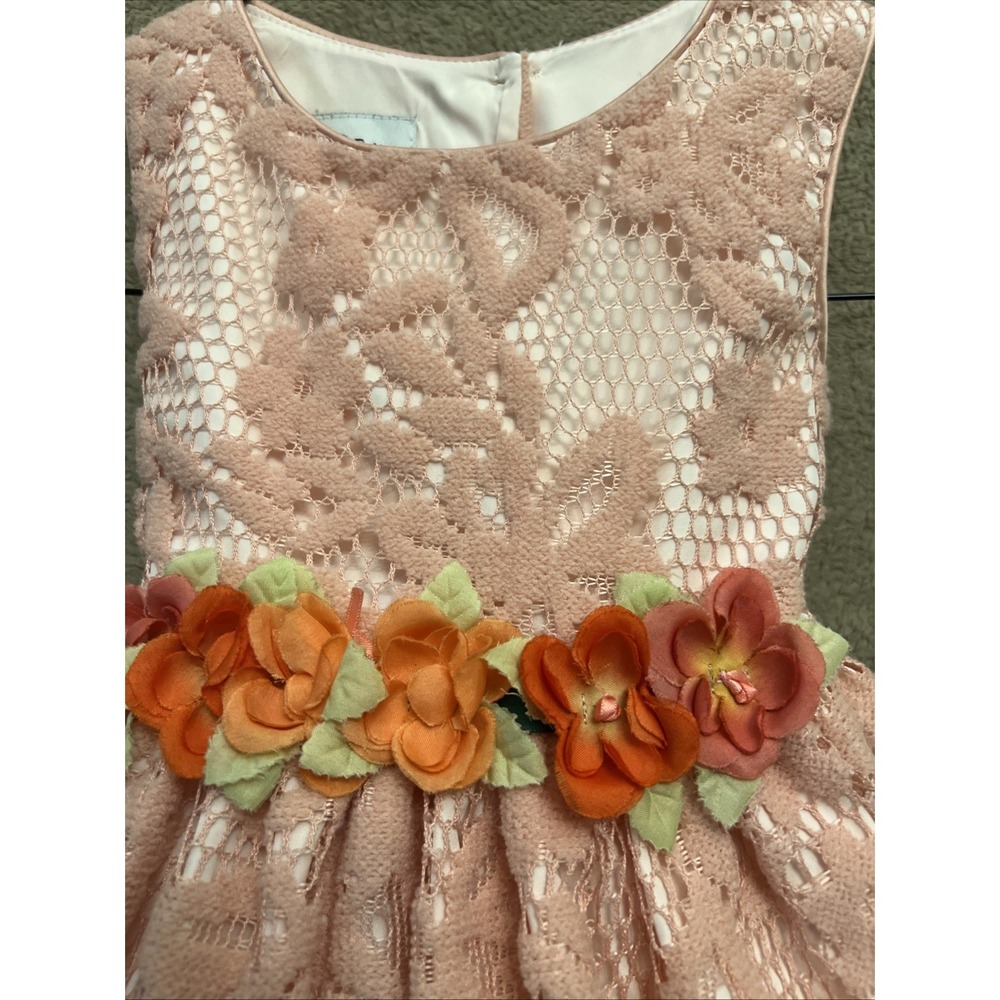 Pippa & Julie Toddler Fancy Peach Pink Lace Dress Tulle Underskirt 3T Princess - Picture 2 of 9